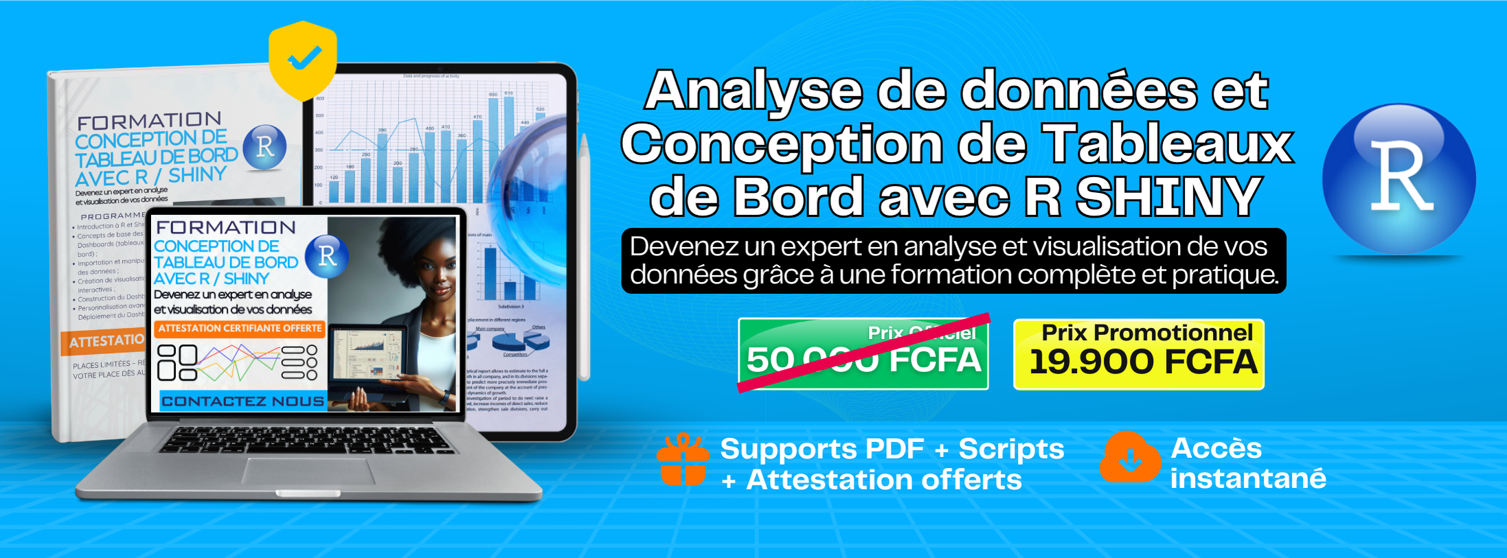 Maîtrisez l’Analyse de Données et la Création de Tableaux de Bord avec R Shiny